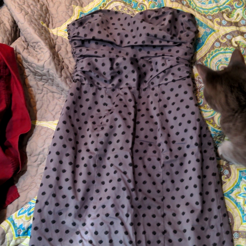 Polka dot strapless dress